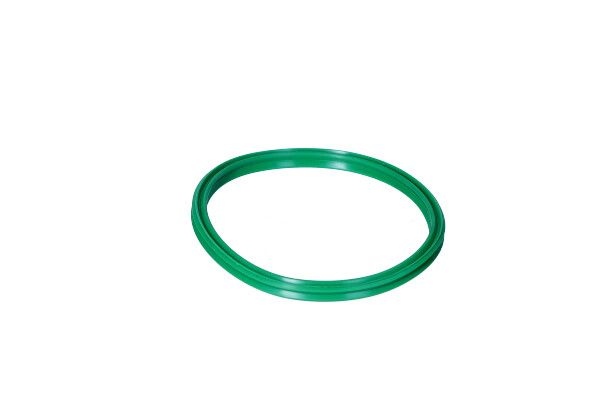 Sealing ring, charge air hose