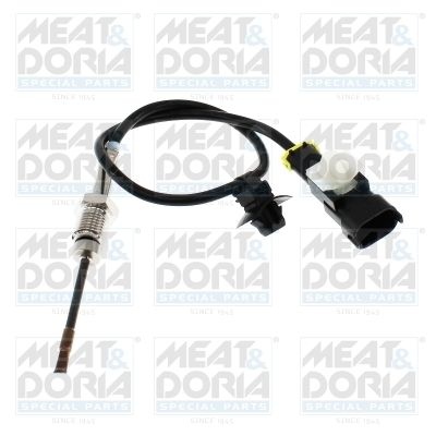 Sensor, exhaust gas temperature