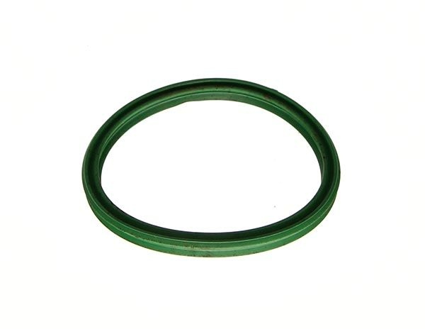 Sealing ring, charge air hose