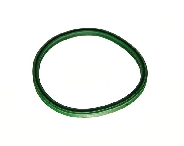 Sealing ring, charge air hose