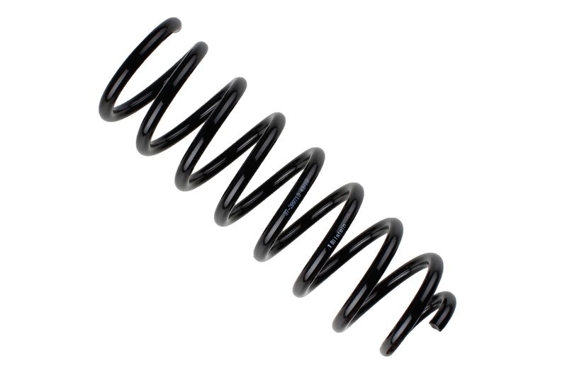 Chassis Spring