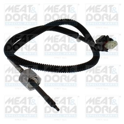 Sensor, exhaust gas temperature