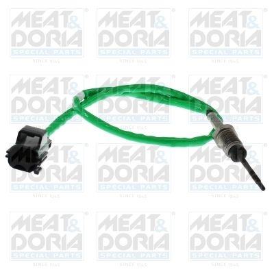 Sensor, exhaust gas temperature