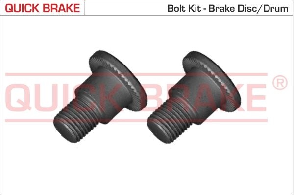 QUICK BRAKE Bolt, brake disc 11679K VW,Transporter V Bus (7HB, 7HJ, 7EB, 7EJ, 7EF, 7EG, 7HF, 7EC),Multivan V (7HM, 7HN, 7HF, 7EF, 7EM, 7EN)