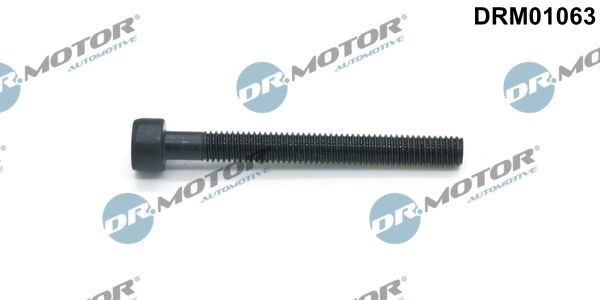 DR.MOTOR AUTOMOTIVE Screw, injection nozzle holder DRM01063  VW,Transporter V Bus (7HB, 7HJ, 7EB, 7EJ, 7EF, 7EG, 7HF, 7EC)