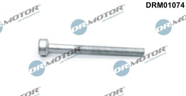 DR.MOTOR AUTOMOTIVE Screw, injection nozzle holder DRM01074 MERCEDES-BENZ,JEEP,C-Klasse Limousine (W204),C-Klasse T-modell (S204)