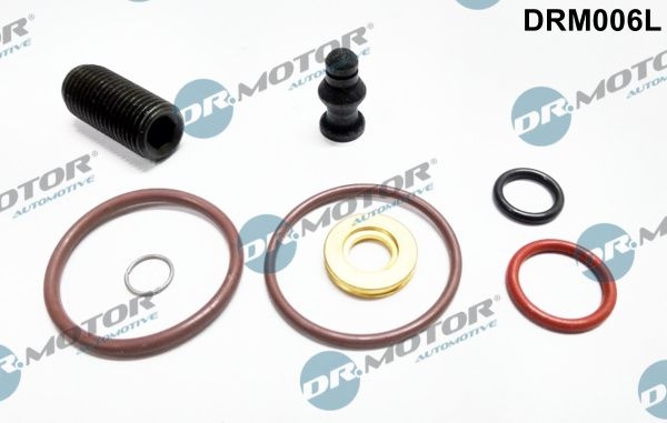 DR.MOTOR AUTOMOTIVE Repair Kit, pump-nozzle unit DRM006L VW,AUDI,FORD,Golf IV Schrägheck (1J1),Golf V Schrägheck (1K1),POLO (9N_),TOURAN (1T1, 1T2)