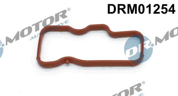 DR.MOTOR AUTOMOTIVE Intake Manifold Gasket for cylinder 4-6 DRM01254 Inlet Manifold Gasket,Gasket, intake manifold VW,AUDI,Touareg (7LA, 7L6, 7L7)