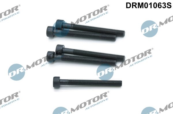 DR.MOTOR AUTOMOTIVE Screw, injection nozzle holder DRM01063S  VW,Transporter V Bus (7HB, 7HJ, 7EB, 7EJ, 7EF, 7EG, 7HF, 7EC)