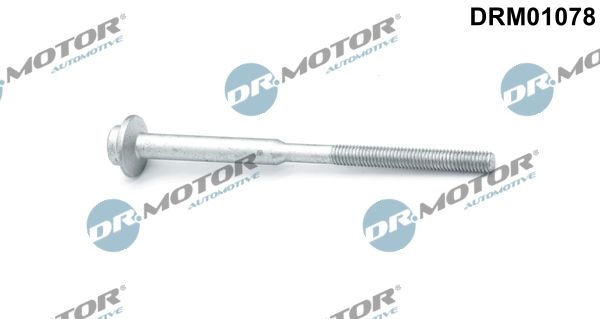 DR.MOTOR AUTOMOTIVE Screw, injection nozzle holder DRM01078  VW,AUDI,SKODA,GOLF VI (5K1),GOLF PLUS (5M1, 521),TIGUAN (5N_),Passat Variant (365)