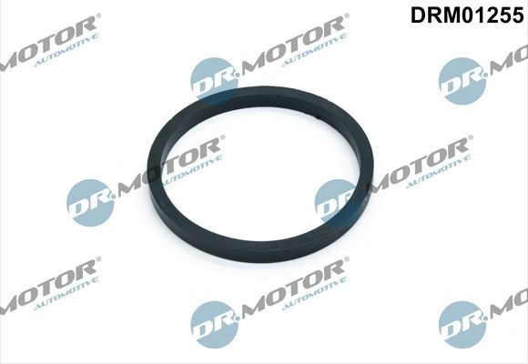 DR.MOTOR AUTOMOTIVE Gaskets Lower DRM01255 Seal, oil cooler VW,AUDI,FORD,Golf IV Schrägheck (1J1),Golf V Schrägheck (1K1),POLO (9N_),TOURAN (1T1, 1T2)