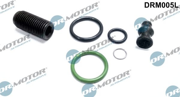 DR.MOTOR AUTOMOTIVE Repair Kit, pump-nozzle unit DRM005L  VW,AUDI,SKODA,Golf V Schrägheck (1K1),TOURAN (1T1, 1T2),GOLF PLUS (5M1, 521)