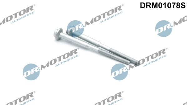 DR.MOTOR AUTOMOTIVE Screw, injection nozzle holder DRM01078S VW,AUDI,SKODA,GOLF VI (5K1),GOLF PLUS (5M1, 521),TIGUAN (5N_),Passat Variant (365)