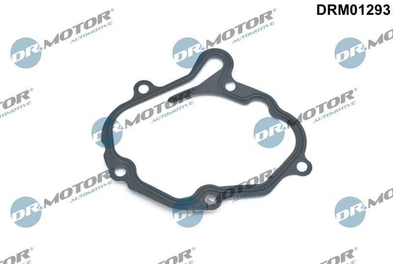 DR.MOTOR AUTOMOTIVE Gaskets DRM01293 Gasket, vacuum pump VW,AUDI,FORD,Golf IV Schrägheck (1J1),Golf V Schrägheck (1K1),POLO (9N_),TOURAN (1T1, 1T2)