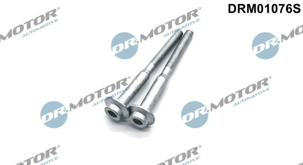 DR.MOTOR AUTOMOTIVE Screw, injection nozzle holder DRM01076S VW,AUDI,SKODA,GOLF VI (5K1),Transporter V Bus (7HB, 7HJ, 7EB, 7EJ, 7EF, 7EG, 7HF, 7EC)