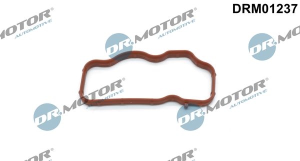 DR.MOTOR AUTOMOTIVE Intake Manifold Gasket for cylinder 1-3 DRM01237 Inlet Manifold Gasket,Gasket, intake manifold VW,AUDI,Touareg (7LA, 7L6, 7L7)