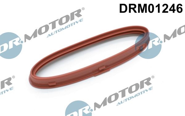 DR.MOTOR AUTOMOTIVE Seal, charger DRM01246  MERCEDES-BENZ,C-Klasse Limousine (W204),C-Klasse T-modell (S204),E-Klasse Limousine (W212)
