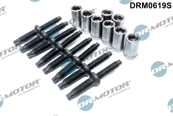 DR.MOTOR AUTOMOTIVE Repair Kit, injector holder DRM0619S FORD,PEUGEOT,CITROËN,MONDEO IV Turnier (BA7),Focus II Schrägheck (DA_, HCP, DP)