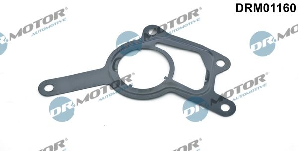 DR.MOTOR AUTOMOTIVE Gaskets DRM01160 Gasket, vacuum pump MERCEDES-BENZ,JEEP,CHRYSLER,E-Klasse Limousine (W211),C-Klasse Limousine (W204)