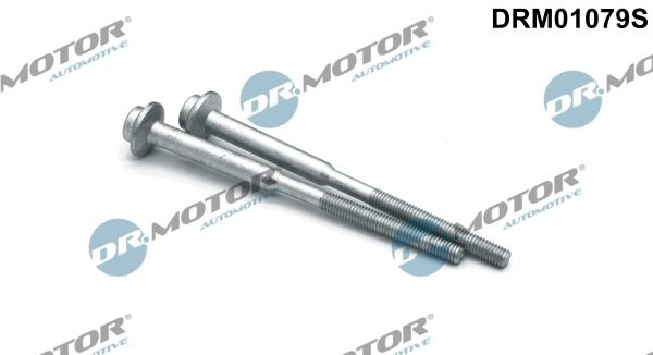 DR.MOTOR AUTOMOTIVE Screw, injection nozzle holder DRM01079S VW,AUDI,SKODA,Golf VII Schrägheck (5G1, BQ1, BE1, BE2),TIGUAN (5N_)