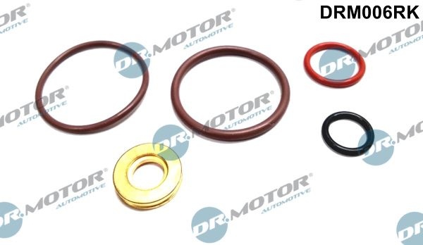 DR.MOTOR AUTOMOTIVE Repair Kit, pump-nozzle unit DRM006RK  VW,AUDI,FORD,Golf IV Schrägheck (1J1),Golf V Schrägheck (1K1),POLO (9N_),TOURAN (1T1, 1T2)