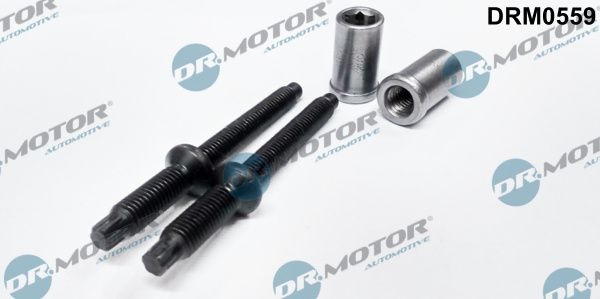 DR.MOTOR AUTOMOTIVE Gaskets FORD,FIAT,PEUGEOT DRM0559 198263,198283,1233685 Seal Kit, injector nozzle 198263,198283