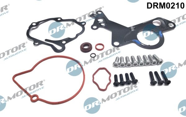 DR.MOTOR AUTOMOTIVE Vacuum pump repair kit VW,AUDI,FORD DRM0210 038145209E,038145209H,1426037 Tandem pump repair kit,Vacuum pump rebuild kit