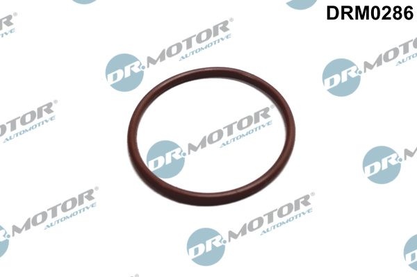 DR.MOTOR AUTOMOTIVE Gaskets DRM0286 Gasket, fuel pump VW,AUDI,BMW,Golf V Schrägheck (1K1),Golf VII Schrägheck (5G1, BQ1, BE1, BE2),TOURAN (1T1, 1T2)