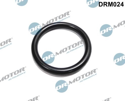 DR.MOTOR AUTOMOTIVE Gaskets DRM024 Gasket, coolant flange RENAULT,DACIA,Clio III Schrägheck (BR0/1, CR0/1),CLIO II (BB0/1/2_, CB0/1/2_)