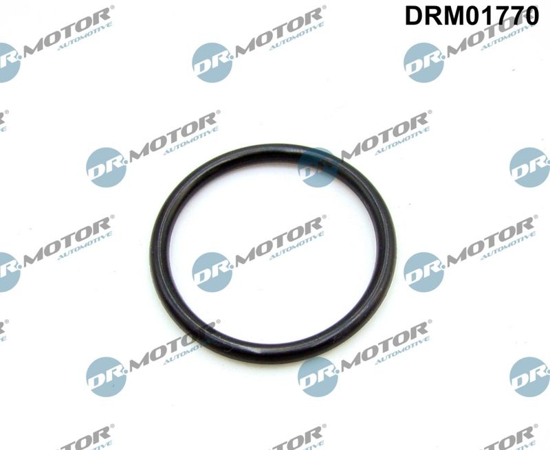 DR.MOTOR AUTOMOTIVE Intake Manifold Gasket FORD,FIAT,PEUGEOT DRM01770 134091,1098190,134091 Inlet Manifold Gasket,Gasket, intake manifold