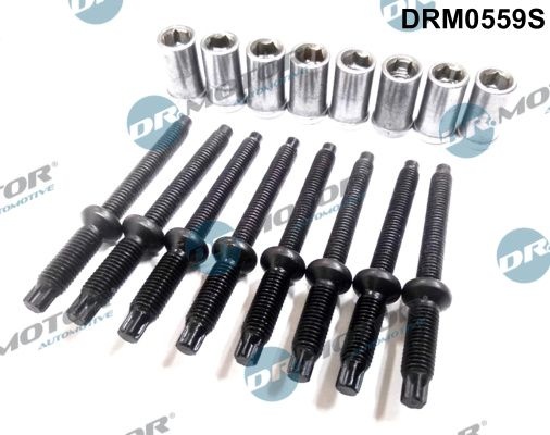 DR.MOTOR AUTOMOTIVE Repair Kit, injector holder DRM0559S FORD,FIAT,PEUGEOT,Fiesta Mk6 Schrägheck (JA8, JR8)