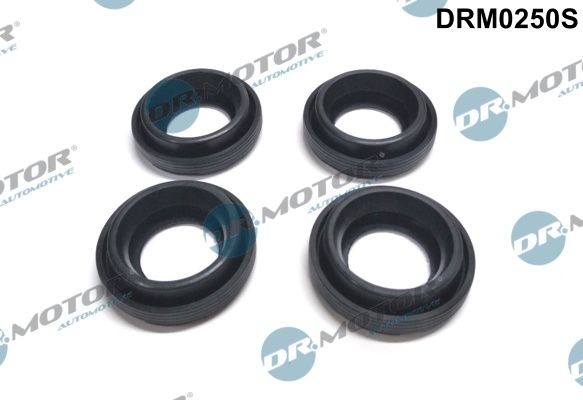 DR.MOTOR AUTOMOTIVE Gaskets DRM0250S Seal Kit, injector nozzle TOYOTA,AVENSIS Kombi (T25),AURIS (NRE15_, ZZE15_, ADE15_, ZRE15_, NDE15_)