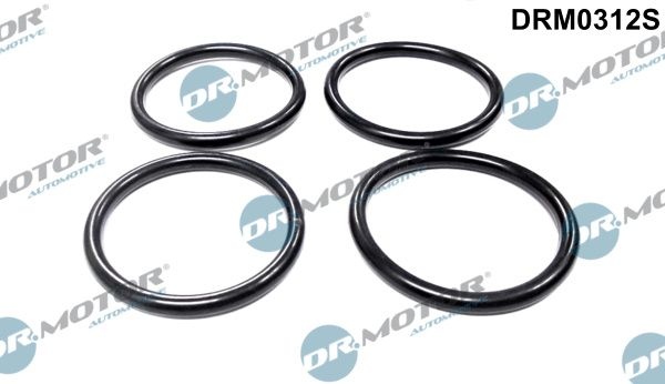 DR.MOTOR AUTOMOTIVE Gasket Set, intake manifold DRM0312S FIAT,PEUGEOT,CITROËN,Scudo Kastenwagen (220_),Scudo Kombi (220_)