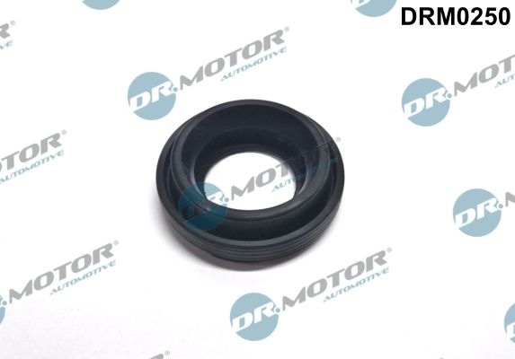 DR.MOTOR AUTOMOTIVE Gaskets DRM0250 Seal, nozzle holder TOYOTA,AVENSIS Kombi (T25),AURIS (NRE15_, ZZE15_, ADE15_, ZRE15_, NDE15_)