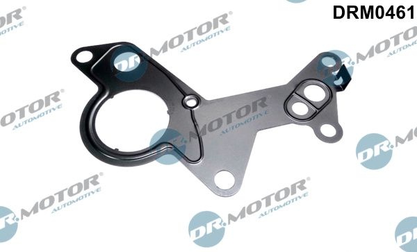 DR.MOTOR AUTOMOTIVE Gaskets DRM0461 Gasket, vacuum pump VW,AUDI,FORD,Golf IV Schrägheck (1J1),Golf V Schrägheck (1K1),POLO (9N_),TOURAN (1T1, 1T2)