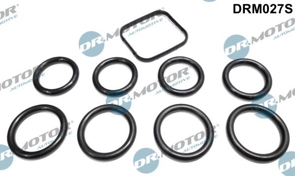 DR.MOTOR AUTOMOTIVE Gasket Set, intake manifold DRM027S  FORD,FIAT,PEUGEOT,Fiesta Mk6 Schrägheck (JA8, JR8),Fiesta Mk5 Schrägheck (JH1, JD1, JH3, JD3)