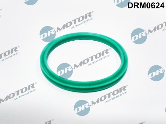 Seal ring, charge air hose