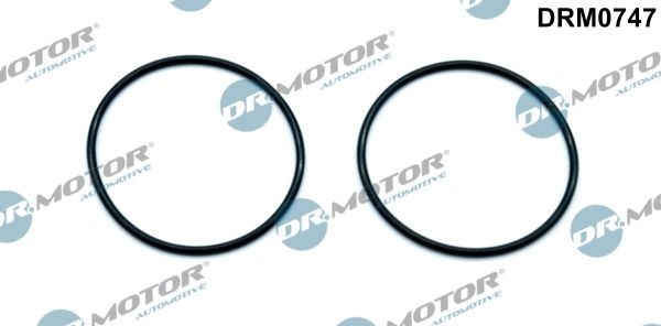 DR.MOTOR AUTOMOTIVE Gaskets DRM0747 Gasket, vacuum pump VW,AUDI,SKODA,Golf V Schrägheck (1K1),GOLF VI (5K1),Polo Schrägheck (6R1, 6C1)