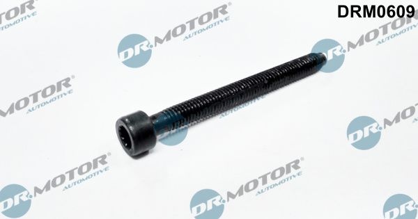 DR.MOTOR AUTOMOTIVE Screw, injection nozzle holder DRM0609 VW,AUDI,SKODA,Golf IV Schrägheck (1J1),Golf V Schrägheck (1K1),POLO (9N_)