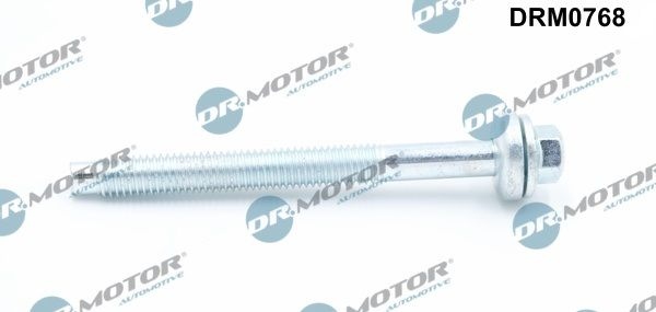 DR.MOTOR AUTOMOTIVE Screw, injection nozzle holder DRM0768  OPEL,FORD,RENAULT,Vivaro A Kastenwagen (X83),Vivaro B Combi (X82),Vivaro A Combi (X83)
