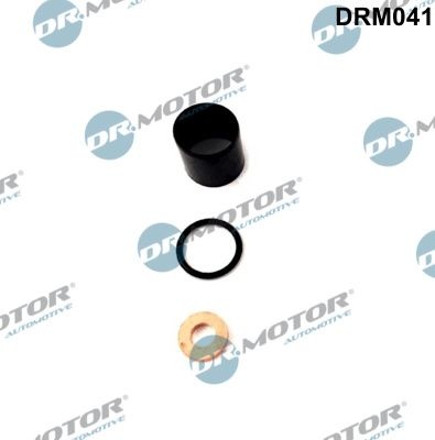 DR.MOTOR AUTOMOTIVE Gaskets DRM041 Seal Kit, injector nozzle OPEL,RENAULT,Movano Kastenwagen (X70),Movano Bus (X70)