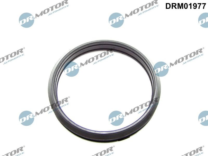 Seal ring, charge air hose