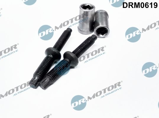 DR.MOTOR AUTOMOTIVE Gaskets DRM0619 Seal Kit, injector nozzle FORD,PEUGEOT,CITROËN,MONDEO IV Turnier (BA7),Focus II Schrägheck (DA_, HCP, DP)