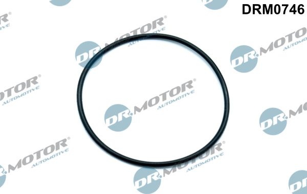 DR.MOTOR AUTOMOTIVE Gaskets DRM0746 Gasket, vacuum pump VW,AUDI,SKODA,Golf V Schrägheck (1K1),Passat Variant (3C5),Golf V Variant (1K5)