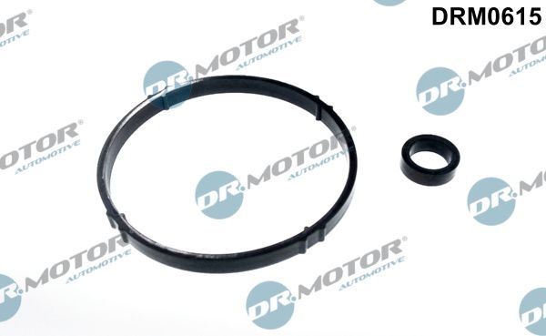 DR.MOTOR AUTOMOTIVE Gaskets DRM0615 Gasket Set, oil cooler PEUGEOT,CITROËN,206 Schrägheck (2A/C),206 CC (2D),307 (3A/C),307 CC (3B),307 SW (3H)
