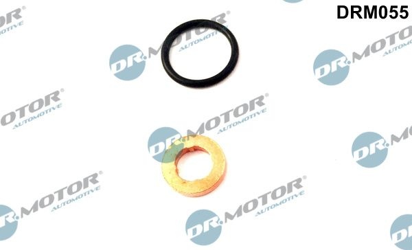 DR.MOTOR AUTOMOTIVE Gaskets DRM055 Seal Kit, injector nozzle AUDI,A4 Avant (8E5, B6),A4 Limousine (8D2, B5),A6 Avant (4B5, C5),A4 Avant (8D5, B5)