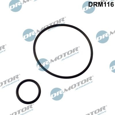 DR.MOTOR AUTOMOTIVE Gasket Set, intake manifold DRM116 FIAT,PEUGEOT,CITROËN,DUCATO Pritsche/Fahrgestell (230),DUCATO Bus (230),DUCATO Kasten (230L)