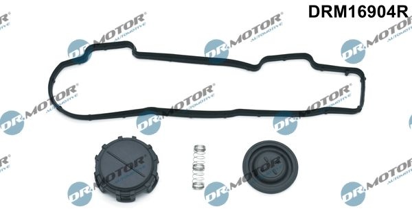 DR.MOTOR AUTOMOTIVE Gasket Set, rocker cover FORD,PEUGEOT,CITROËN DRM16904R 0248L1,1254229,1313806 1479837,3M5Q6K271AA,3M5Q6K271AB,3M5Q6K271AC,0248L1