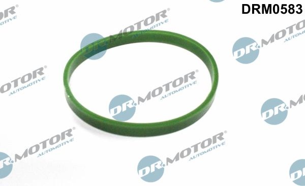 Seal ring, charge air hose