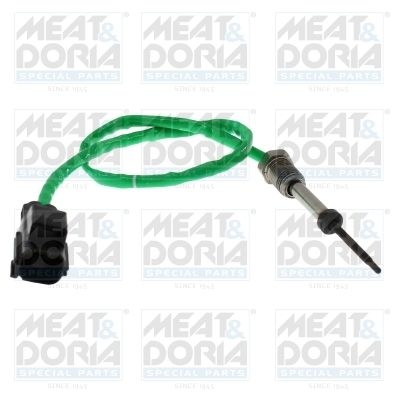 Sensor, exhaust gas temperature